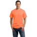 Adult 5.4oz 100% Cotton Tee  