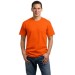 Adult 5.4oz 100% Cotton Tee  