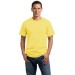 Adult 5.4oz 100% Cotton Tee  