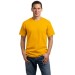 Adult 5.4oz 100% Cotton Tee  